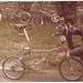 Brian Moulton Photo 25