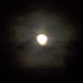 Gary Moon Photo 29