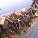 Stephanie Lock Photo 14
