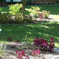 Linda Davies Photo 37