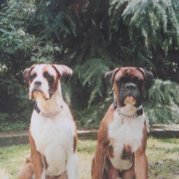 Lynn Prince Photo 18