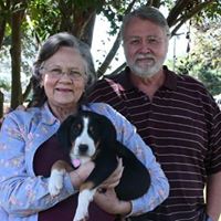 Judy Henry Photo 24