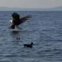 Allen Blankenship Photo 30