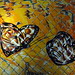 Hector Duarte Photo 24