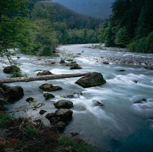 Ken Ball Photo 16