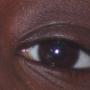 Terrance Magee Photo 3