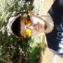 Johnny Dobbs Photo 24