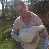 Tracy Llewellyn Photo 14