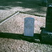 William Weber Photo 50