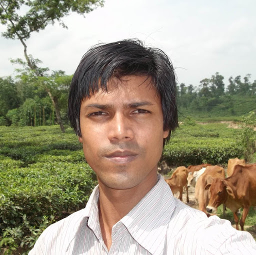Zia Uddin Photo 33