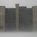 Robert Plan Photo 4