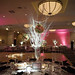 Julie Galbraith Photo 27