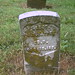 Samuel Harper Photo 16