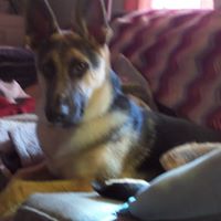 Susan Mcbride Photo 40