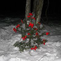 Cindy Morneau Photo 6