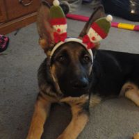 Jackie Winters Photo 17