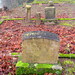 Marion Wheeler Photo 11