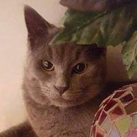 Paula Frank Photo 24