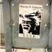 Marsha Johnson Photo 44