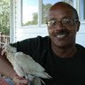 Robert Streeter Photo 45