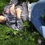 David Wilder Photo 22