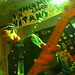 John Lauro Photo 14