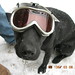 David Reiber Photo 12