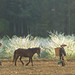 Trang Duong Photo 8