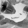 Francesco Bruno Photo 18