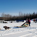 Kelly Swenson Photo 22