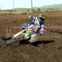 Brandon Newman Photo 18