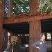 Michele Burch Photo 28