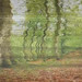 Sarah Rawlins Photo 15
