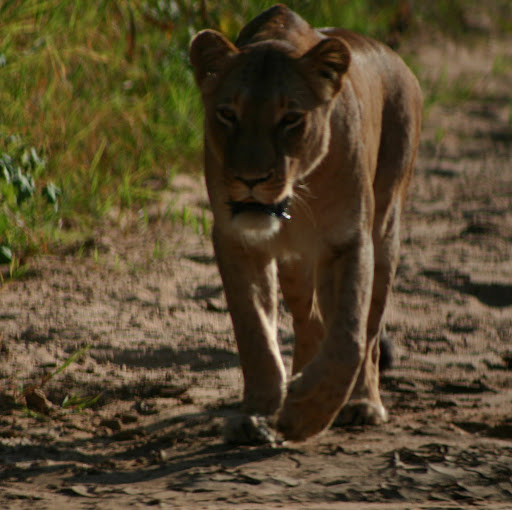 Gail Rice Photo 22