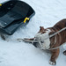 Rodney Winters Photo 16