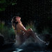 Rebecca Olsen Photo 30
