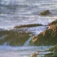 Carroll Robinson Photo 9