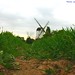 Michael Whitmore Photo 20