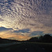 Dawn Morris Photo 14