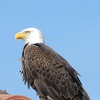 George Schaeffer Photo 9
