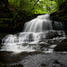Sean Ricketts Photo 16
