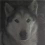 John Herman Photo 9