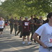 George Kleinman Photo 13