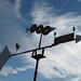 Linda Liggett Photo 6