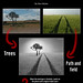 Truc To Photo 7