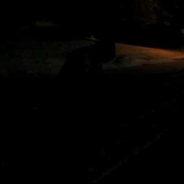 Scott Mcmichael Photo 7