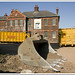 Chester Ward Photo 11