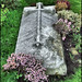 Robert Saxon Photo 30