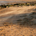 Sandy Gale Photo 21