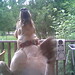 Krista Murphy Photo 35